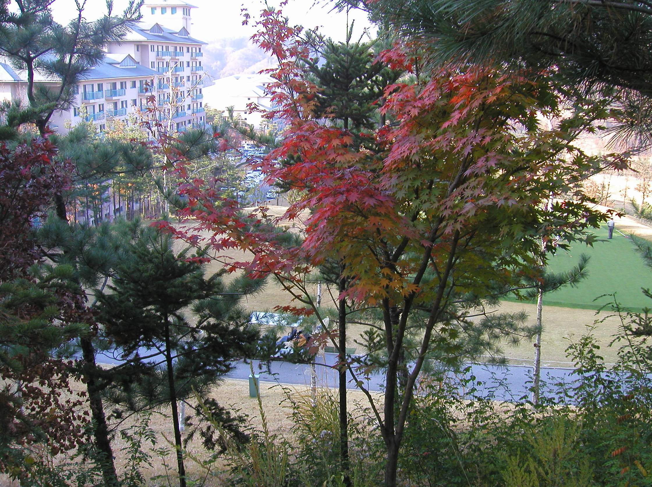  'ũ븮 Ʈ'..7