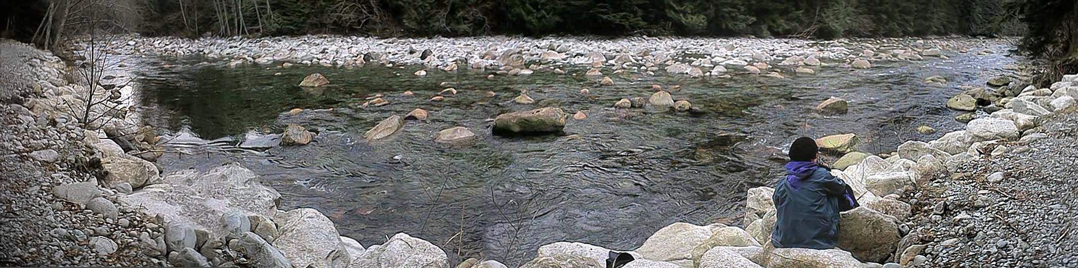 Seymour River .1